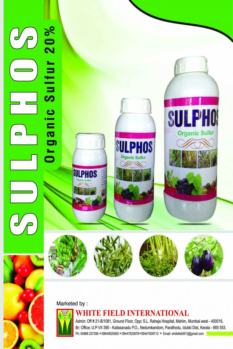 WhitefieldInternational