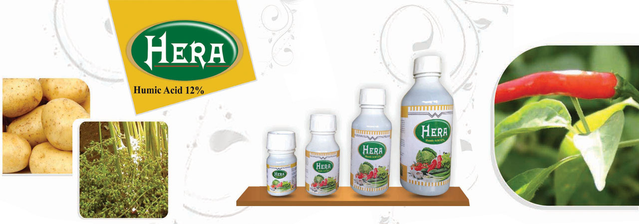 WhitefieldInternational