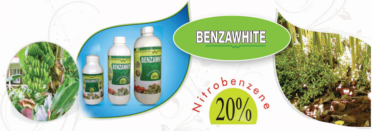 WhitefieldInternational