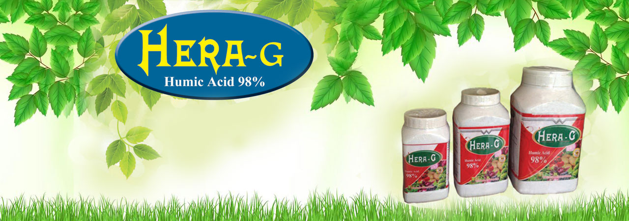 WhitefieldInternational